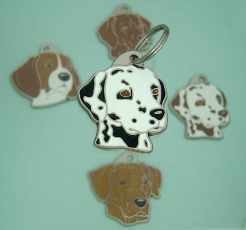 Dog name ID tag Dalmatian.