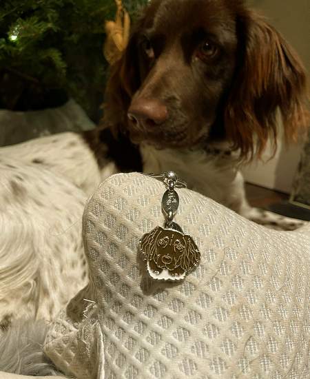 Medaille identité gravée pour chien Münsterländer